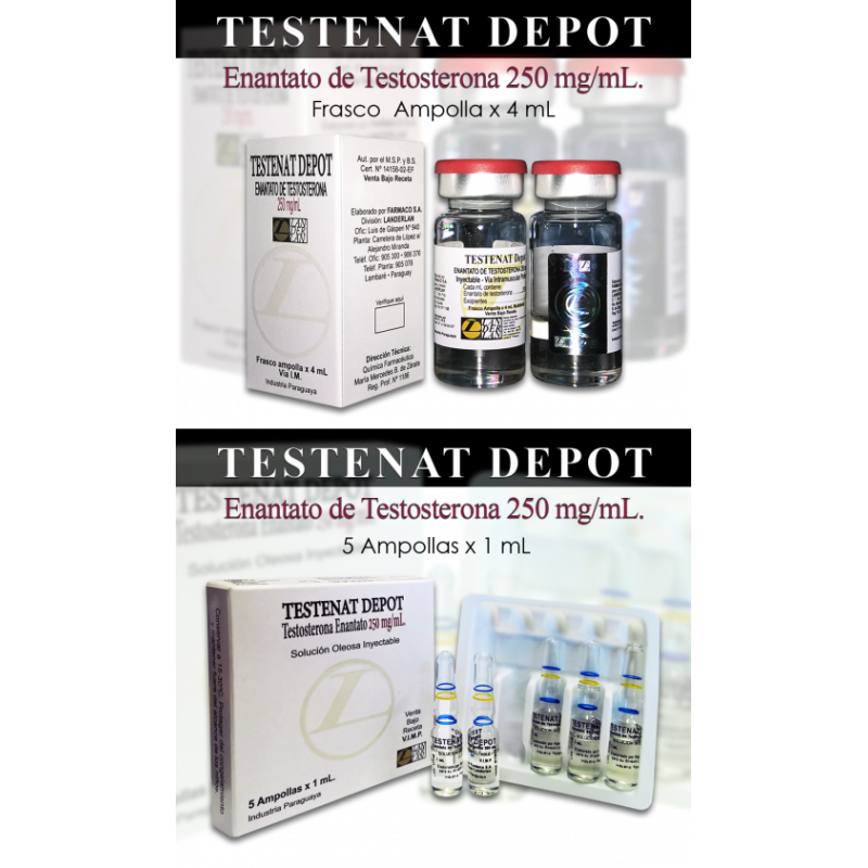 Testenat Depot 250mg 4mL / 1 mL